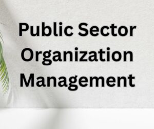 Government